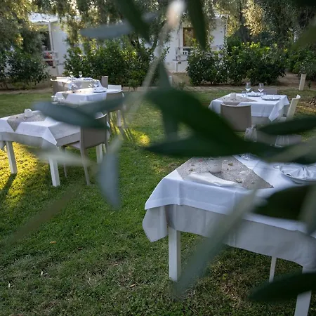 Casa Saracena *