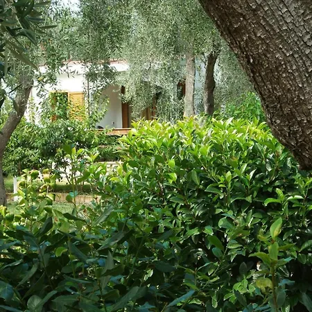 Holiday home Casa Saracena